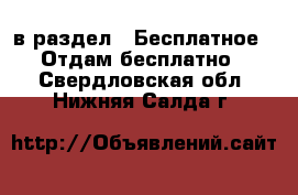  в раздел : Бесплатное » Отдам бесплатно . Свердловская обл.,Нижняя Салда г.